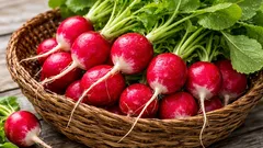 Jarní zahrada na parapetu: jakou zeleninu lze pěstovat doma