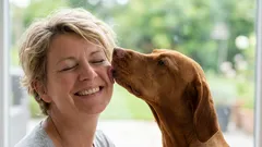 3 důvody, proč psi olizují tvář svého majitele, a co tím ve skutečnosti myslí