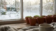 Co vysévat v únoru, aby se sazenice nevytahovaly a měly náskok