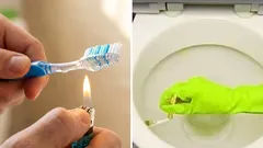 Co můžete vyrobit ze starého zubního kartáčku vlastníma rukama: nejlepší nápady