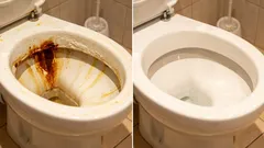 Rez nebo vodní kámen v toaletě? Jednoduchý test prstem a správný postup čištění