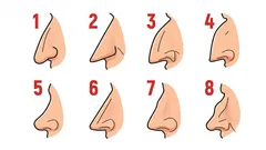 Co vám tvar vašeho nosu prozradí o vaší osobnosti: rychlý test osobnosti